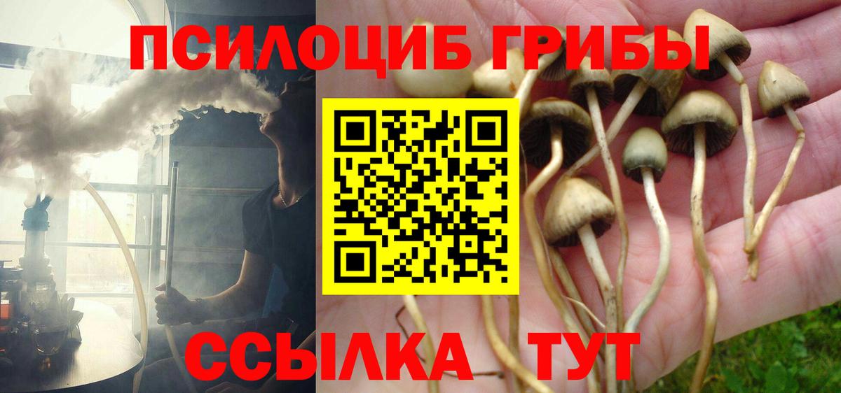Удомля  Галлюциногенные грибы мухоморы  Вход с VPN 