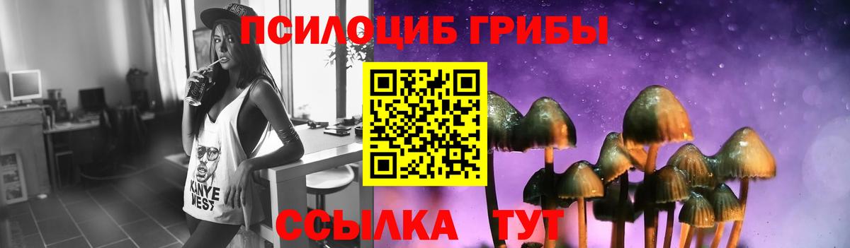 Галлюциногенные грибы MAGIC MUSHROOMS Удомля